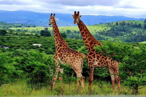 Rocky Valley Game Lodge